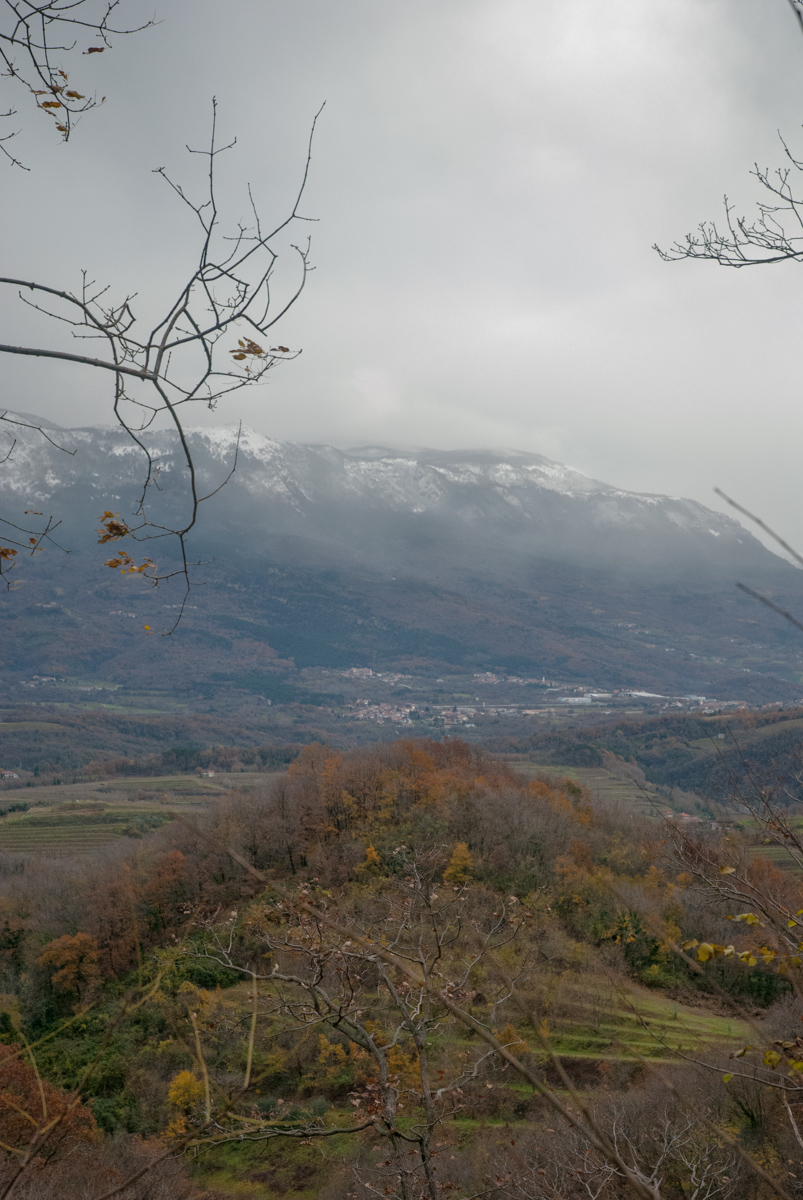 Vipava