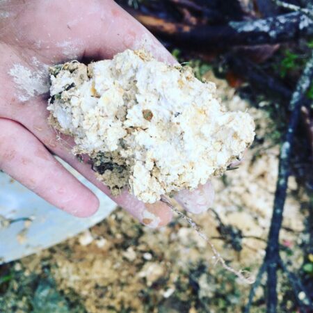 Deep in the forest I have finally found kaolin