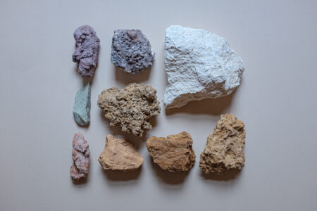 WILD CLAY